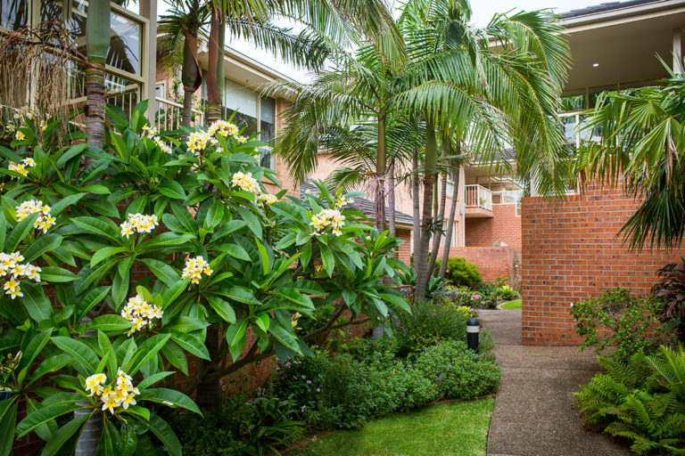 IRT Edwina - Retirement Village Gardens 2